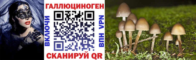 Галлюциногенные грибы прущие грибы  Купить  Кропоткин 